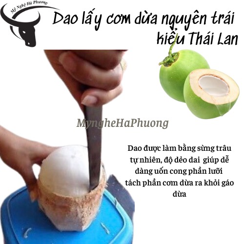 [Loại 1] Dao sừng lấy cơm dừa nguyên trái kiểu Thái Lan