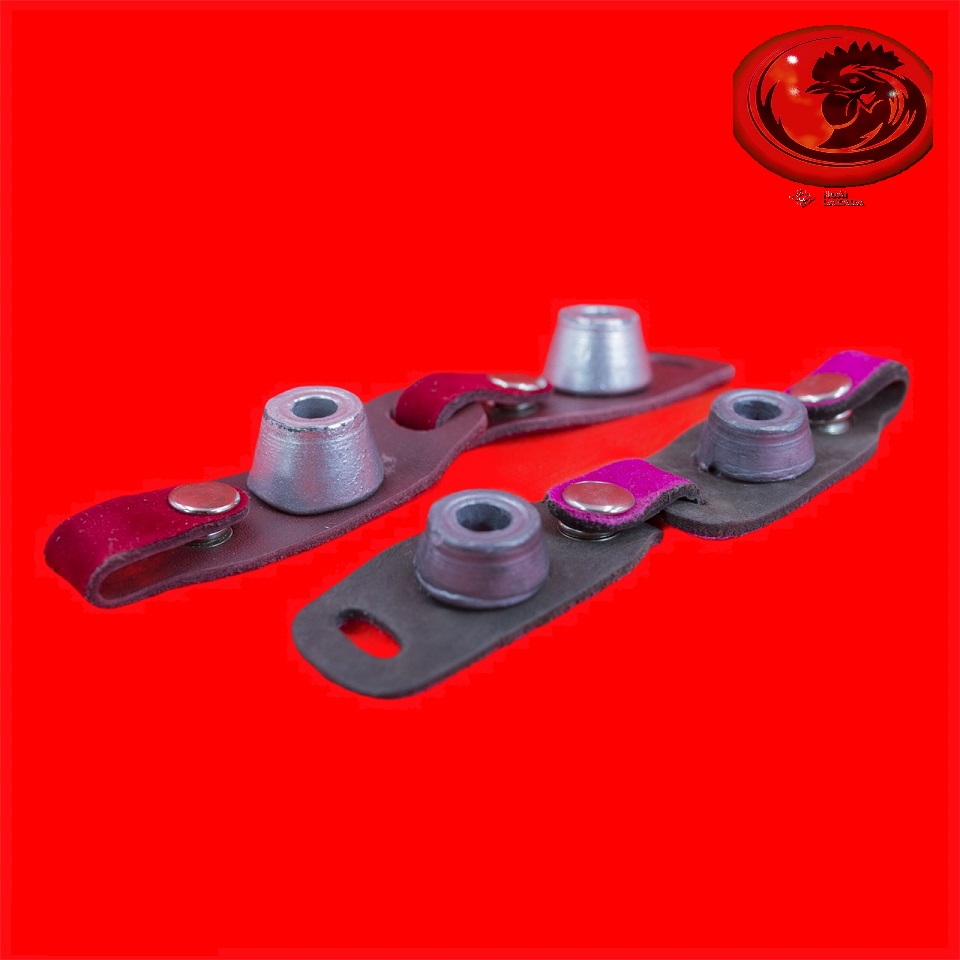 TẠ CHÌ tập luyện cho gà tre đá 1 BỘ 1 CON