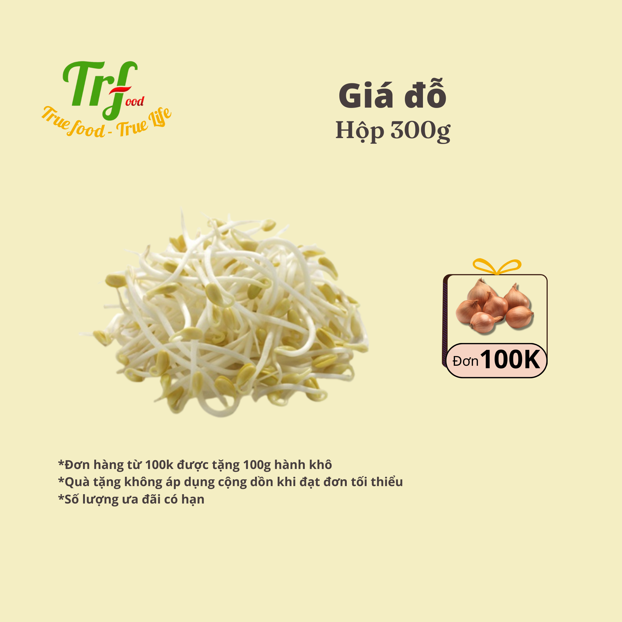 Giá đỗ hộp 300g [HN ship hỏa tốc]