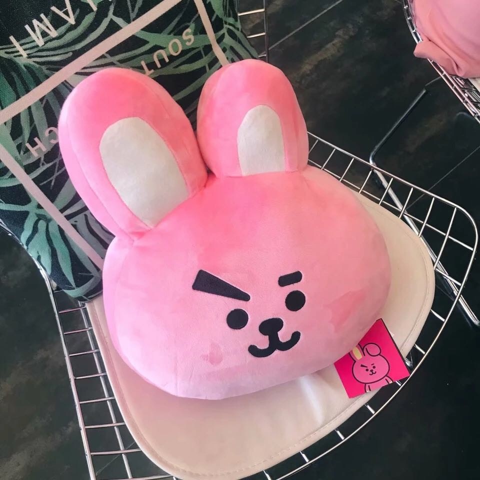 (FreeShip) Gấu BT21 gối Size lớn nhất 40X50cm