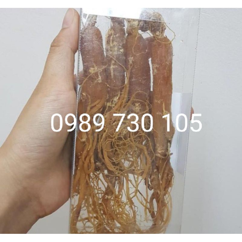 Korean Red Ginseng 100g