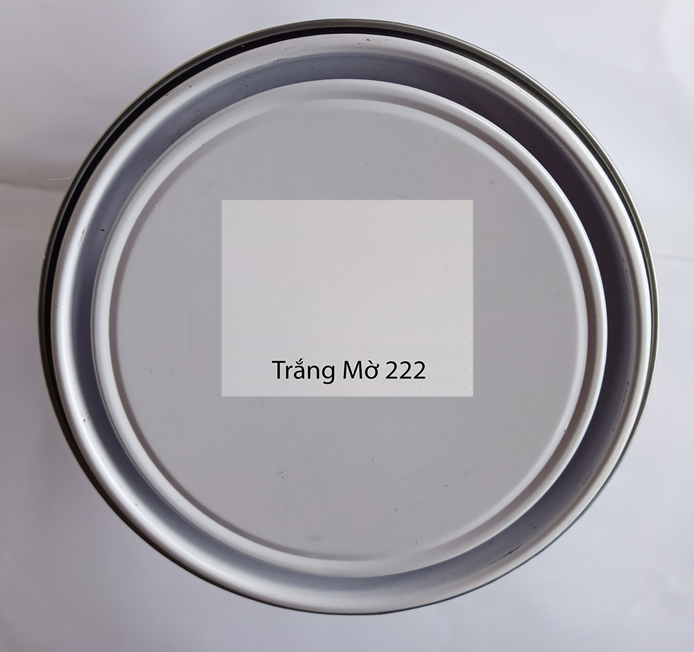Sơn Epoxy Sắt Kẽm Trắng Mờ (222)