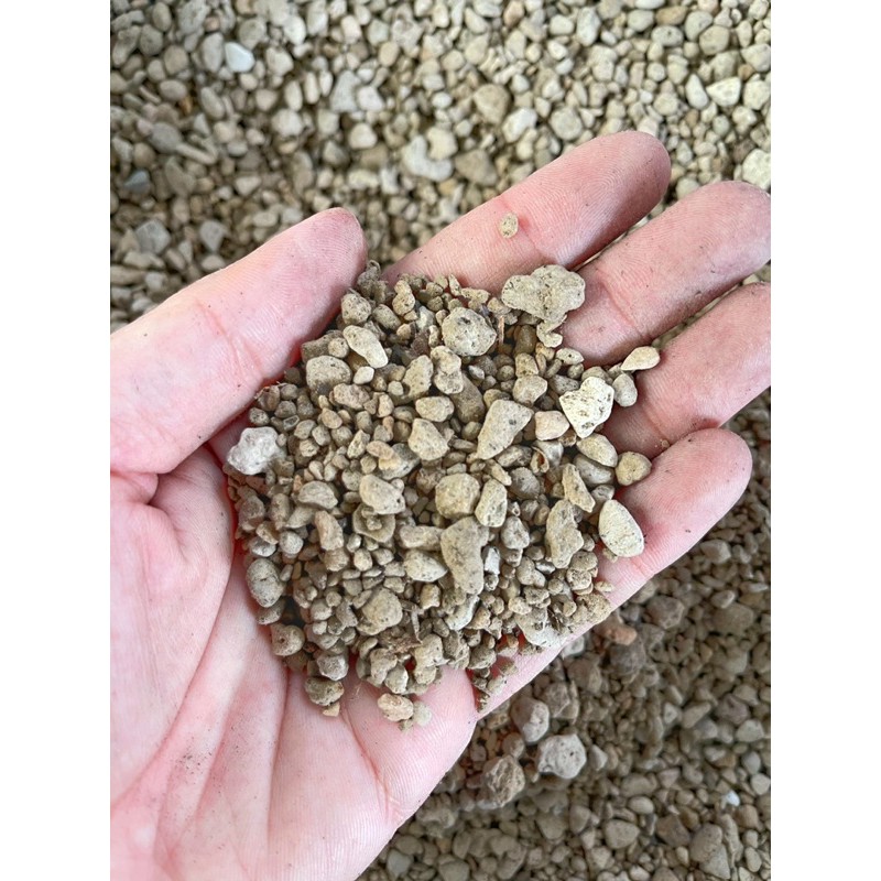 Đất trồng sen đá trộn sẵn (1kg) Đất chuyên dụng cho sen đá