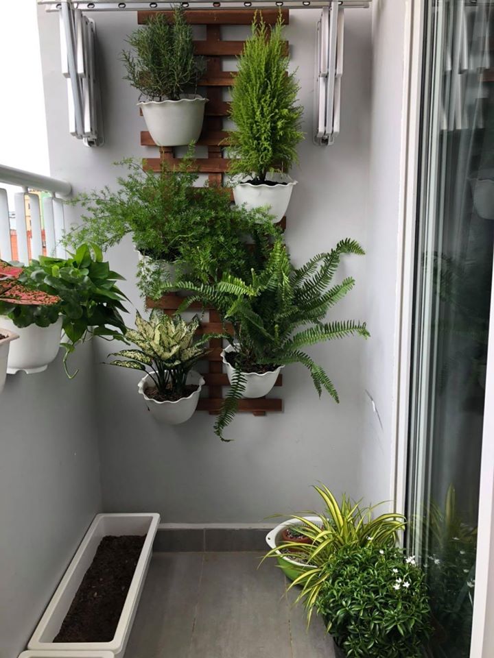 10 CHẬU ỐP TƯỜNG BÁN NGUYỆT TRỒNG HOA - MÀU TRẮNG