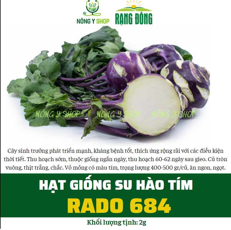 Gói lớn 2g, gói nhỏ trồng thử - Hạt giống su hào tím, su hào xanh Rạng Đông