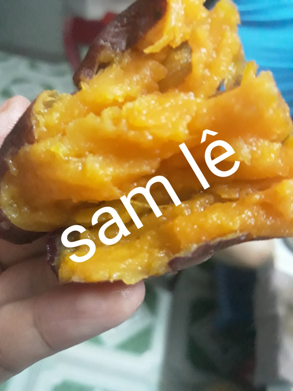 Khoai Lang Mật Tà Nung Đà Lạt Cỡ Trung (7-10 củ 1 ký) [ Combo 3 Ký ]