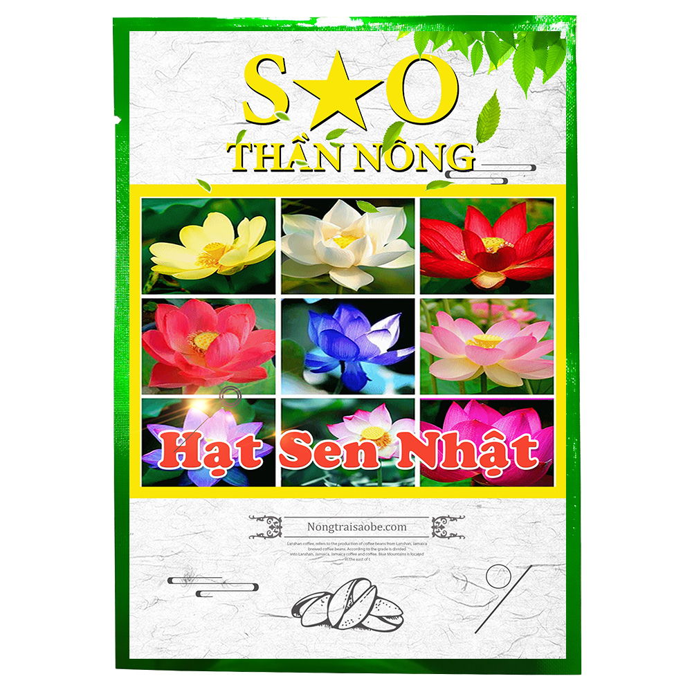 Hạt giống Sen Nhật mini - 5 hạt, nhiều màu
