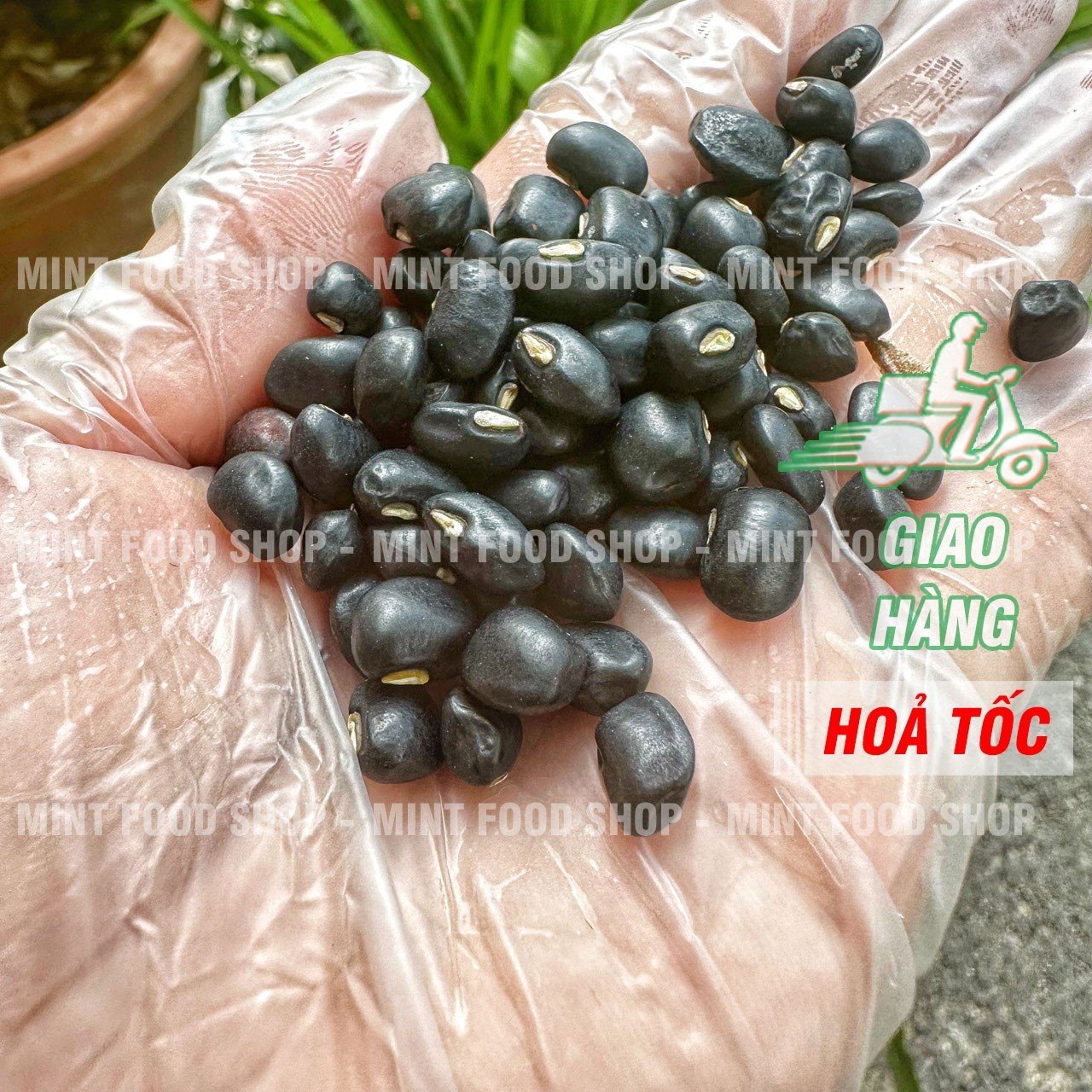 Dried yellow black bean 500gram bag
