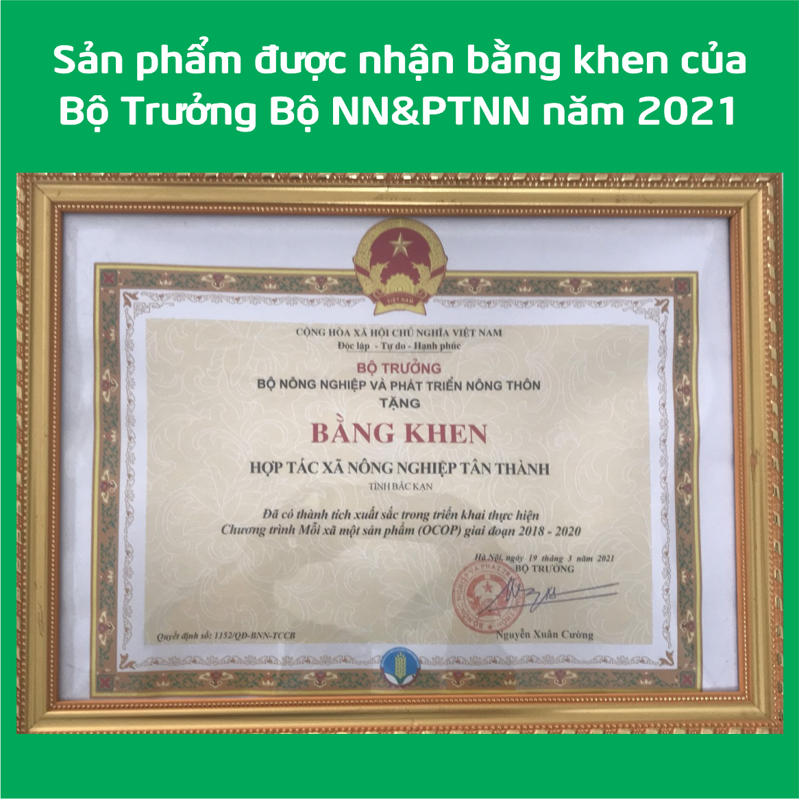 [Nhập RS0822 giảm 30k cho đơn 99k]Tinh bột nghệ 500gr