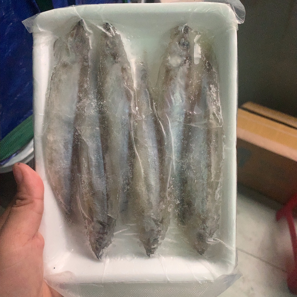 CÁ trứng vĩ 200gr (giao tphcm)