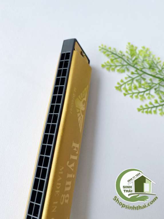 [HCM]Kèn hamonica 24 lỗ cao cấp màu vàng