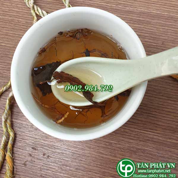 Cây sói rừng sấy khô 500g cao cấp - Hàng công ty 100% thiên nhiên - Chuyên dùng để pha trà