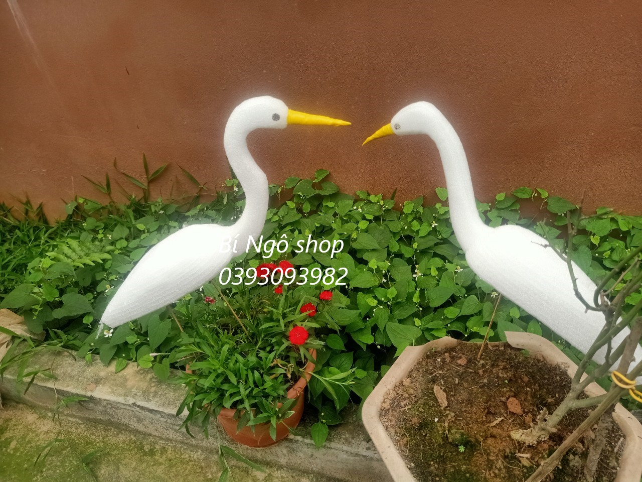 Combo 5 con cò xốp đệm dẻo