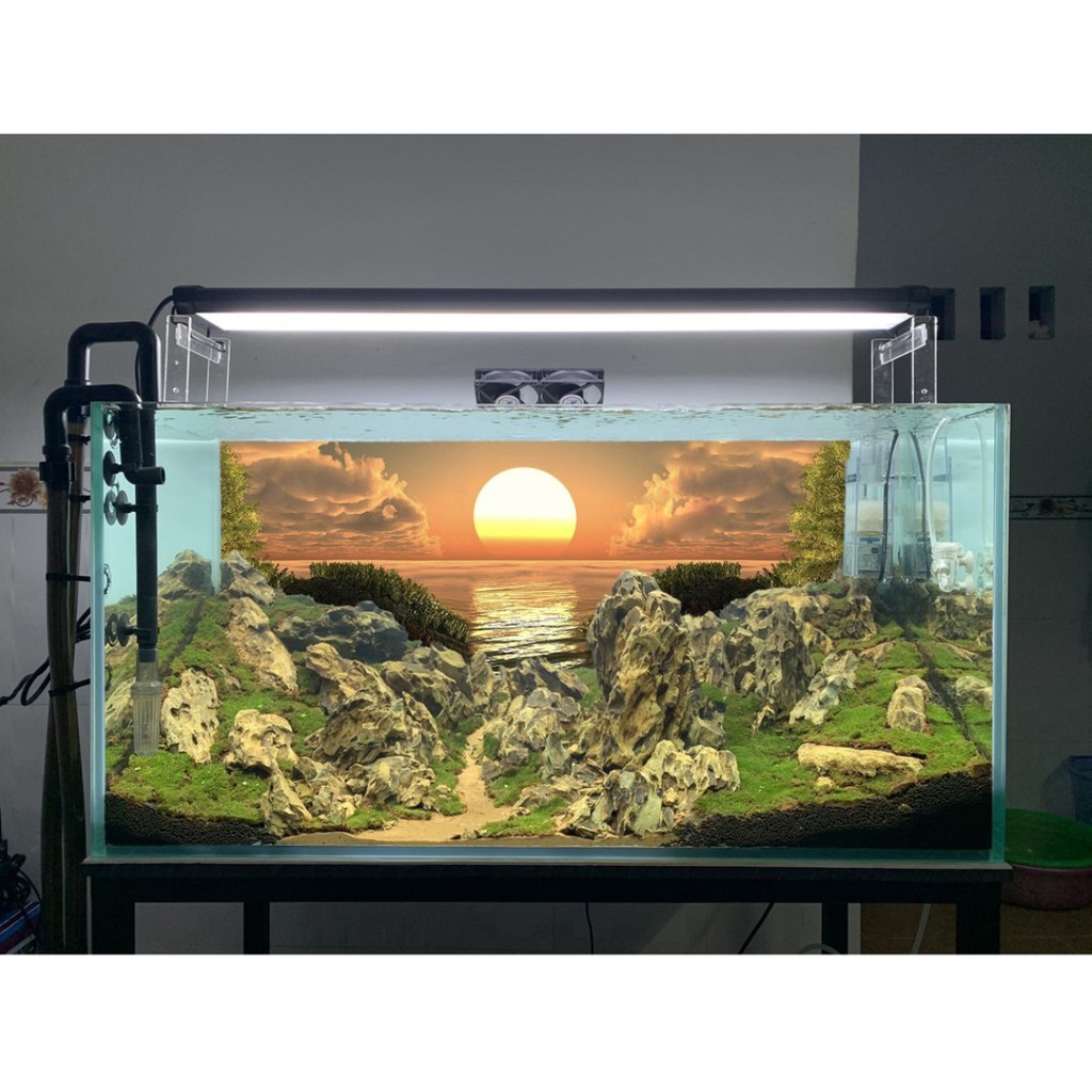tranh 3d bể cá