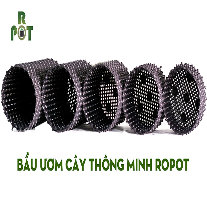 Bầu Nhựa 60cm x 5m Ươm Rễ Vườn Cây Ropot