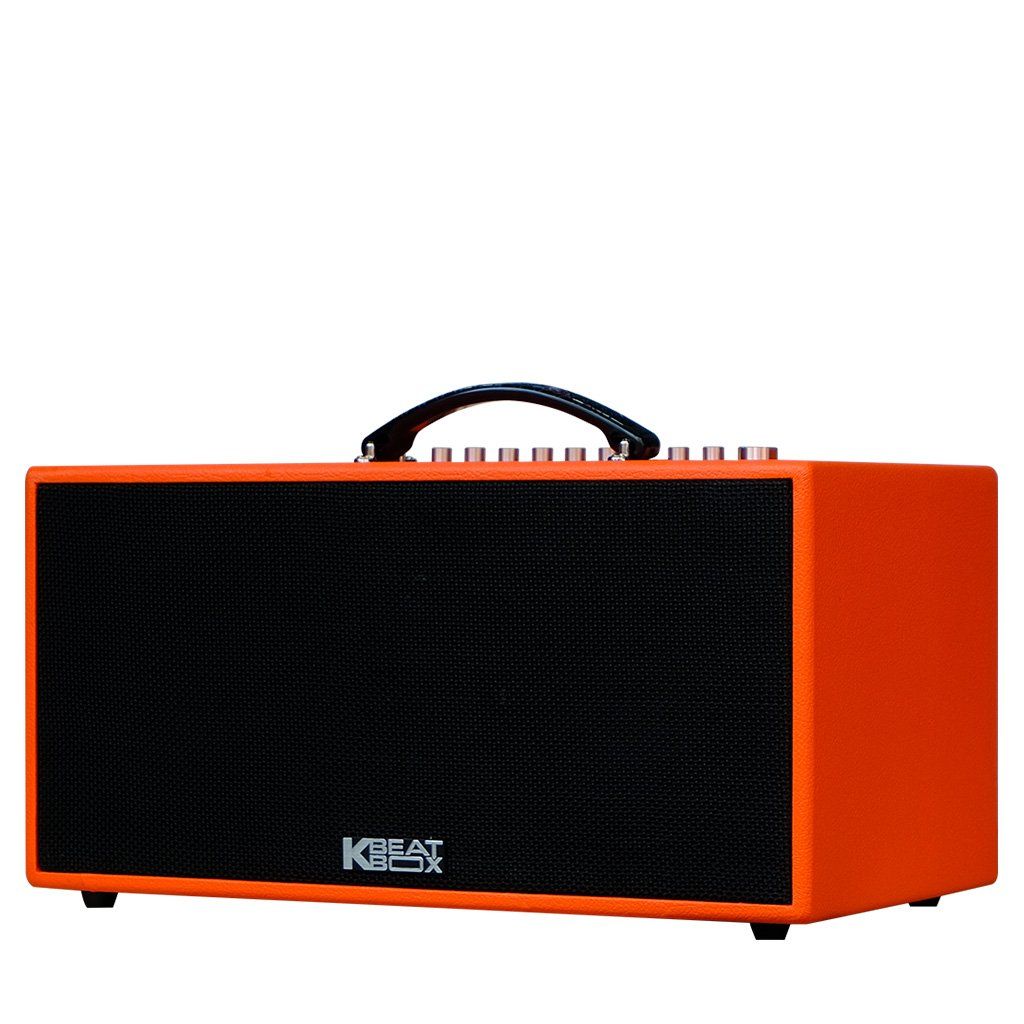 Loa  ACNOS CS447