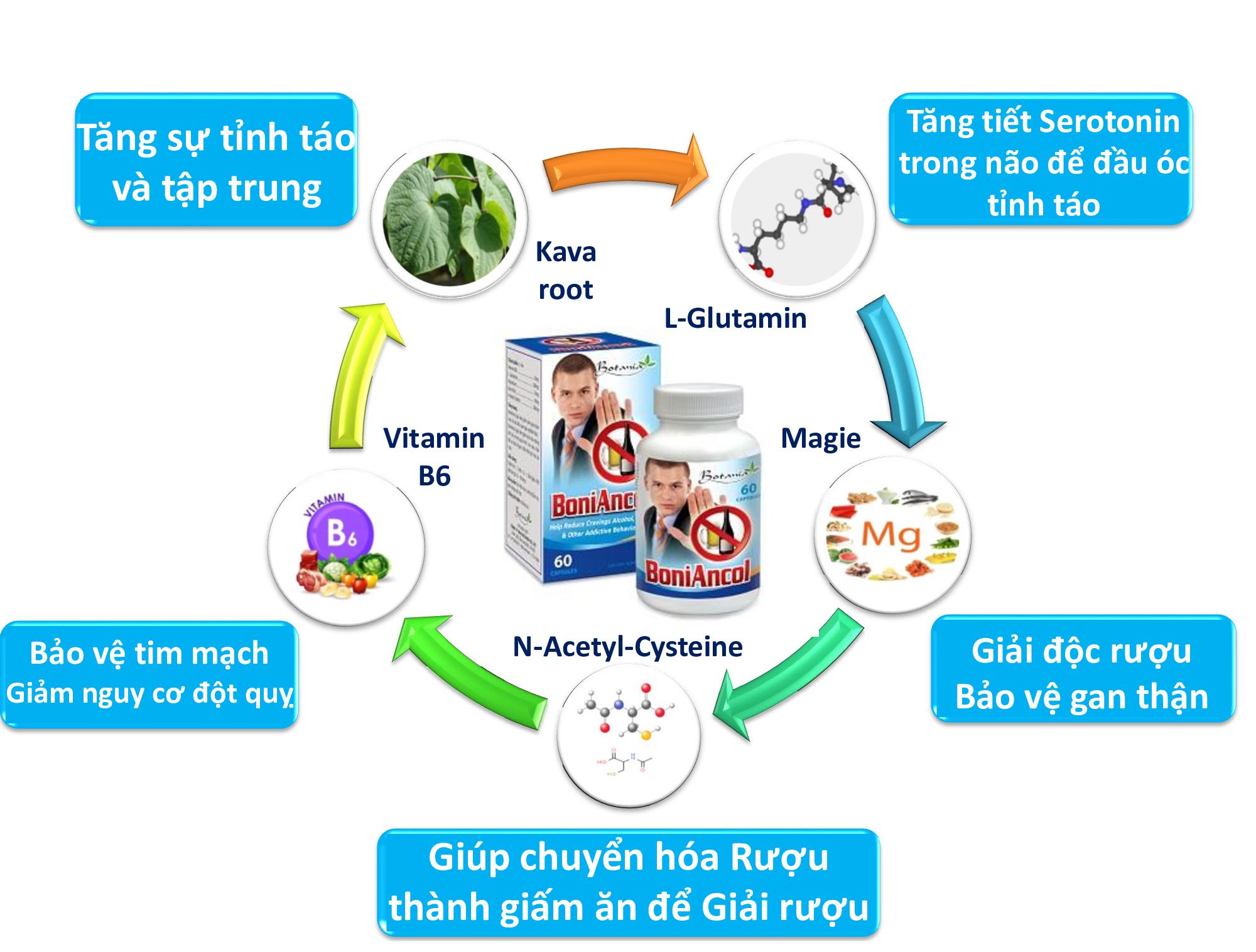 BoniAncol (Hộp 60 viên) - Giúp cai rượu, bảo vệ gan [Boni ancol]