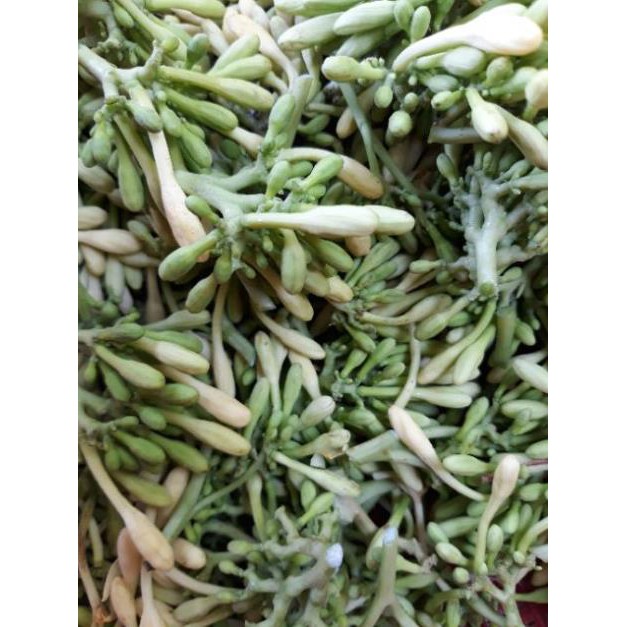 Hoa đu đủ đực khô 1kg