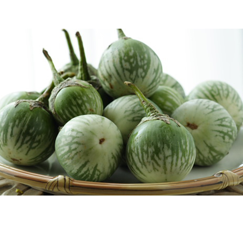 Hạt Giống Cà Dĩa 709 Rạng Đông Gói 0.5Gram