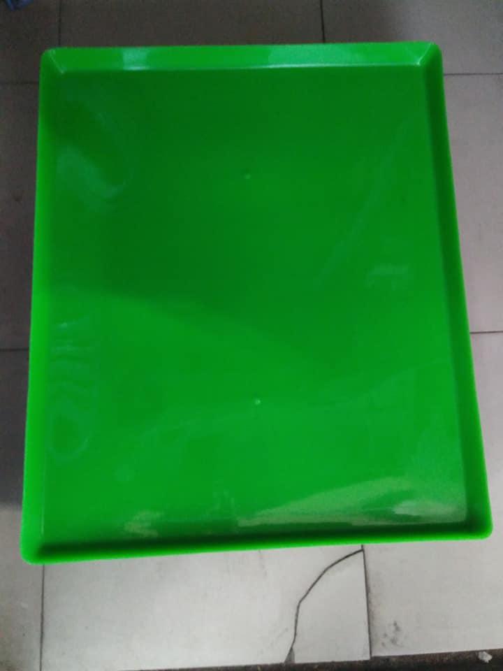 COMBO 2 KHAY NHỰA 60x50 HỨNG PHÂN CHIM, PHÂN GÀ LOẠI DẺO