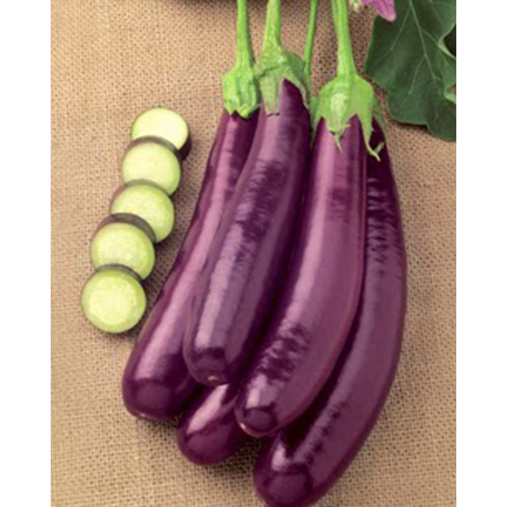 Hạt giống Cà Tim Quả Dài ( Gói 1 Gram ) - Nông Sản Vàng