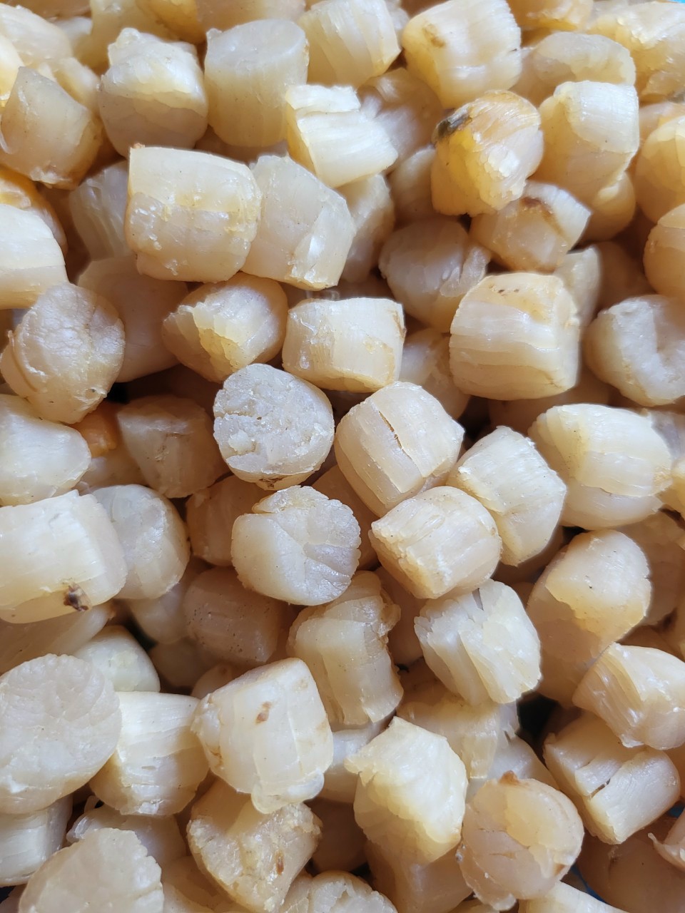 Cồi sò điệp Nhật khô size mini 500gr [Shop kelly ye]