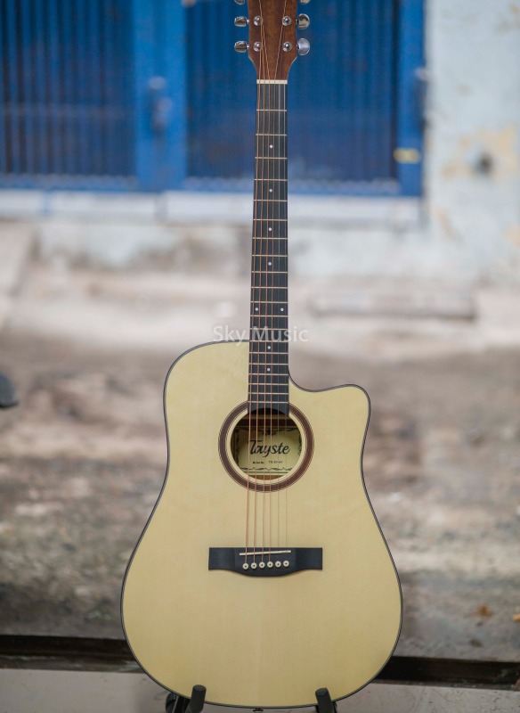 Đàn Guitar Acoustic Tayste TS-24-41Gỗ thông ( Hàng Có Sẵn )
