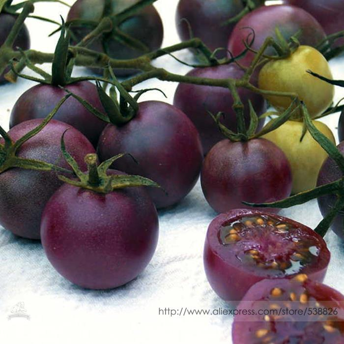 Chocolate Cherry Tomato Seeds - Pack of 30 Seeds