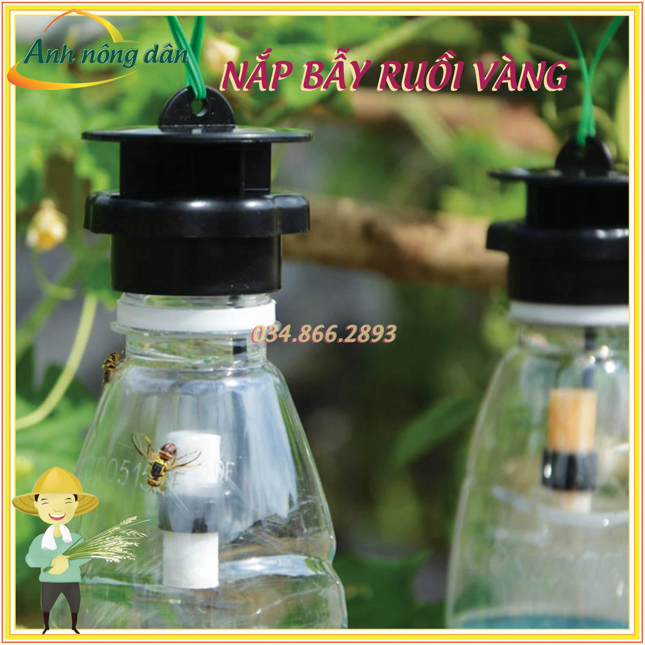 Nắp Bẫy ruồi vàng thế hệ mới + chất dẫn dụ mới