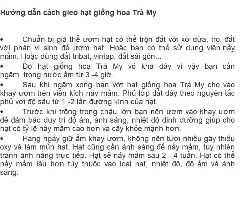 Hạt giống hoa Trà My Nhật mix(Camellia)
