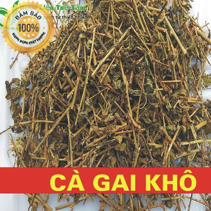 Cà gai leo - cà gai leo đạt chuẩn GACP - WHO