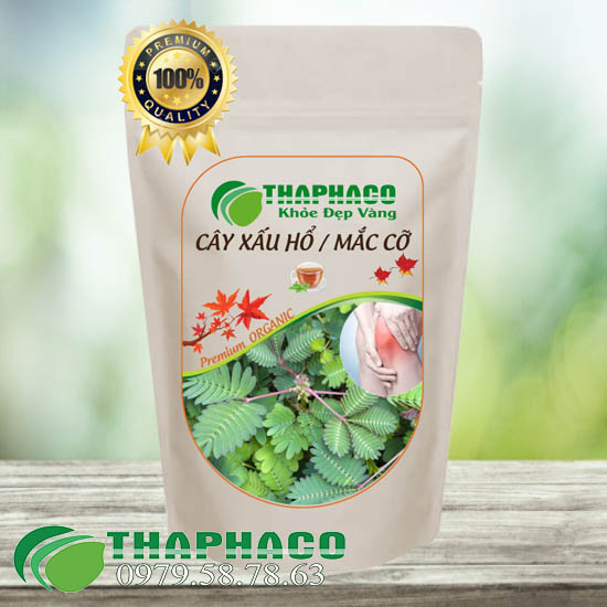 Xấu Hổ, Mắc Cở Sấy Khô [Túi 1kg] Thaphaco - Hỗ Trợ Tốt Cho Sức Khỏe Người Sử Dụng