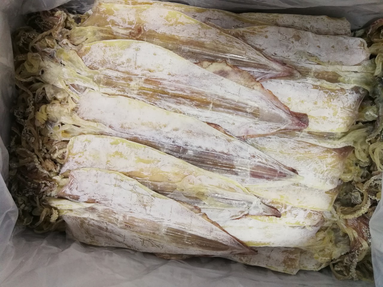 [ 500 gram ] Mực Khô Loại Sịn Size lớn ( 12- 14 Con) Cực Ngọt