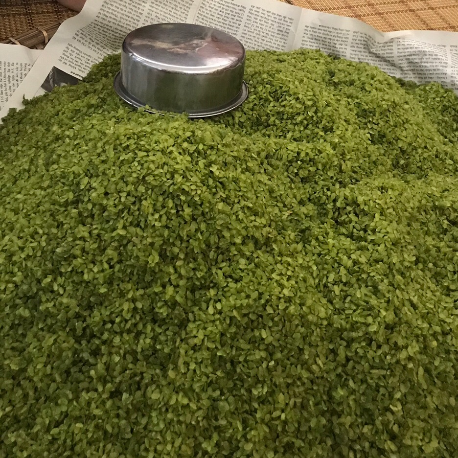 cốm nếp tan tú lệ - 1kg