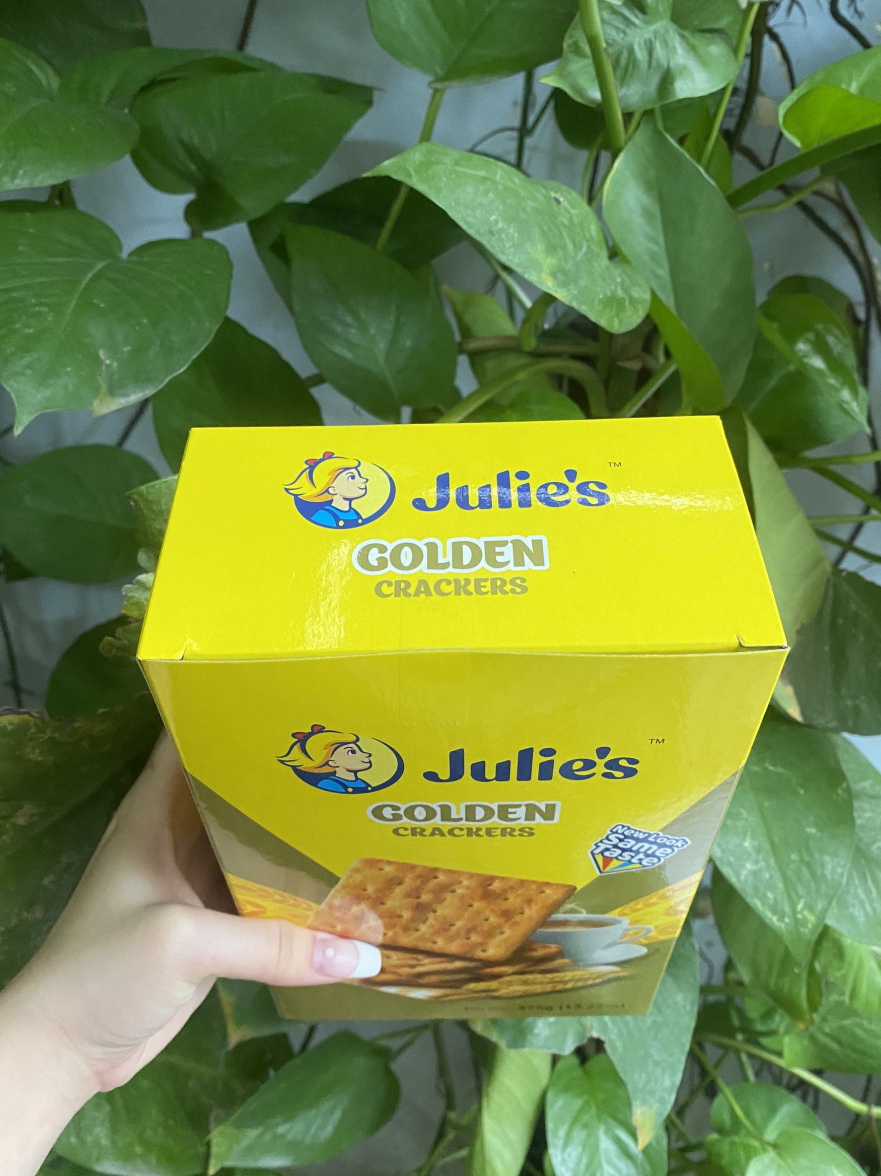 Bánh Quy Giòn Lúa Mì Julie's Golden Crackers (Hộp 375g)