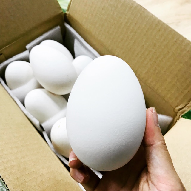 Trứng Ngỗng Sạch Nhà Nuôi
