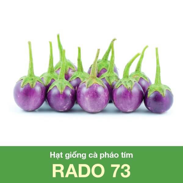 Hạt Giống Cà Pháo Tím Rạng Đông 0.5Gram