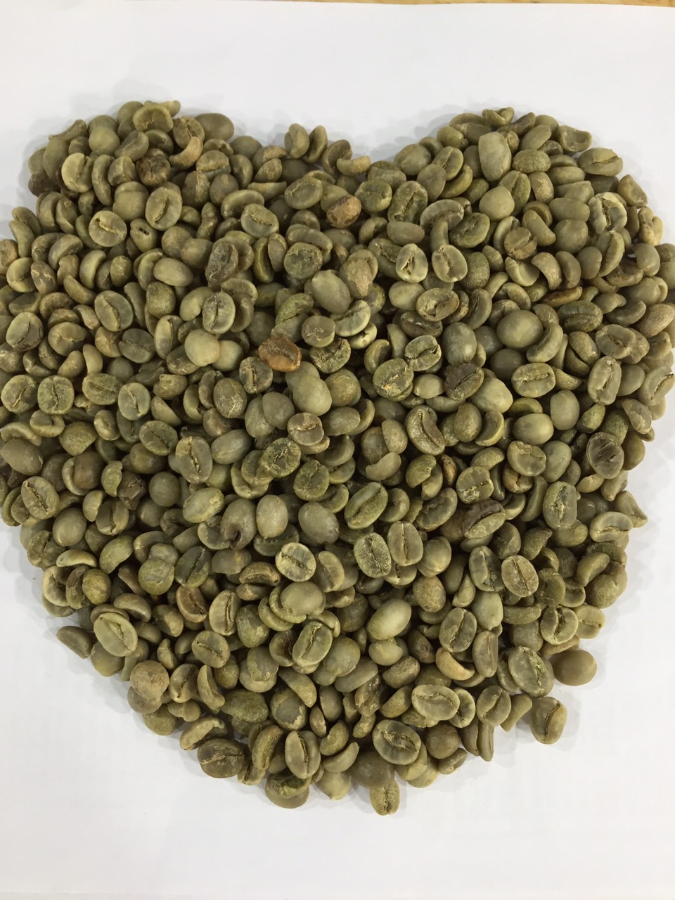 [HCM]Cà phê Nhân Xanh Arabica Cầu Đất Hemera S18 (3kg)