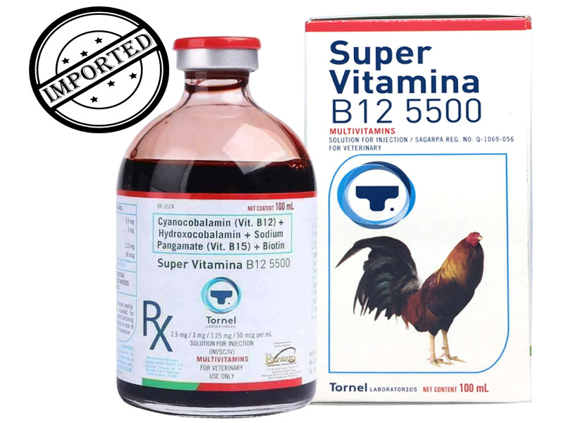 B12 5500 dinh dưỡng cho gà chế độ