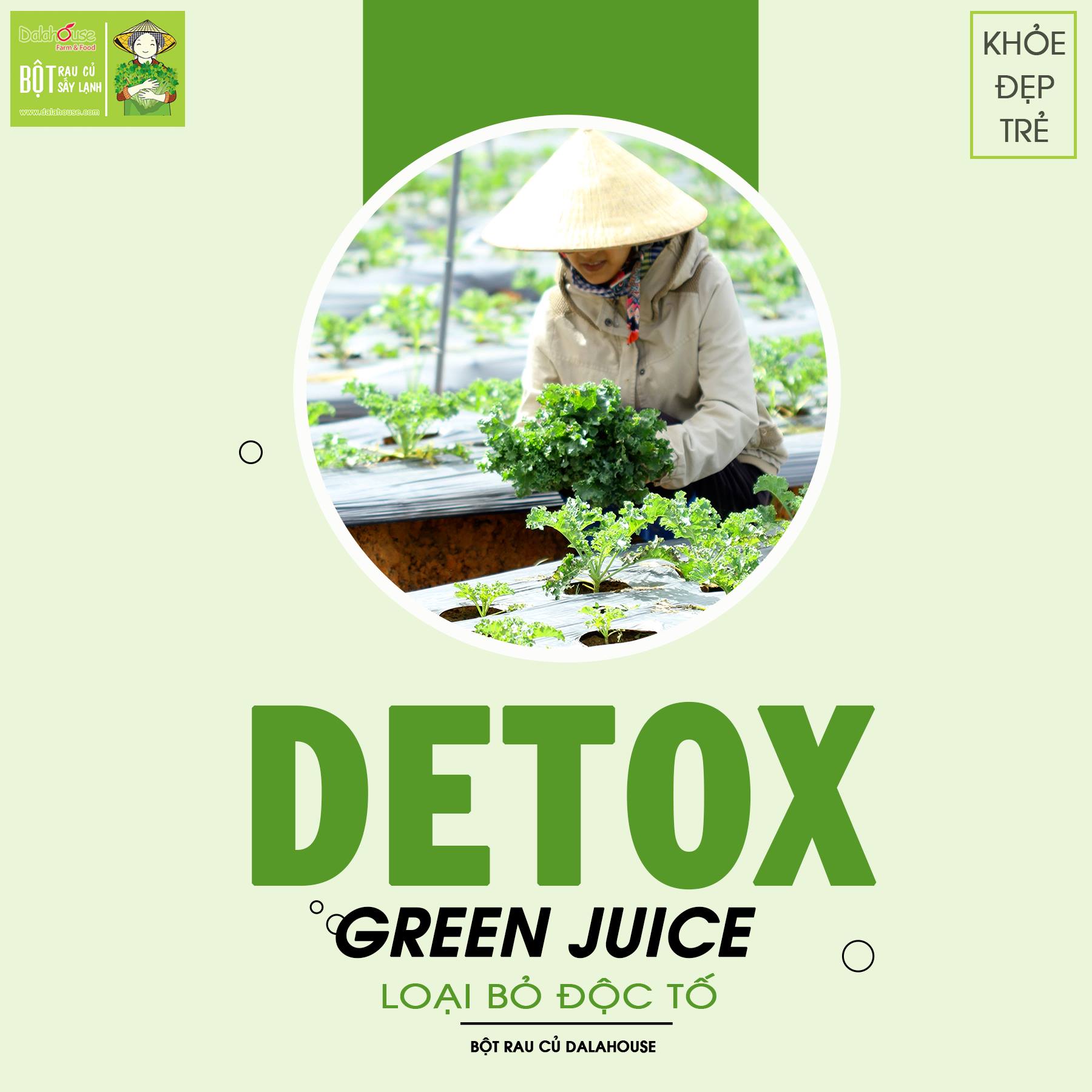 Combo Bột Rau Củ Detox Thải Độc Dalahouse 63g (21 gói * 3g * 7 vị)