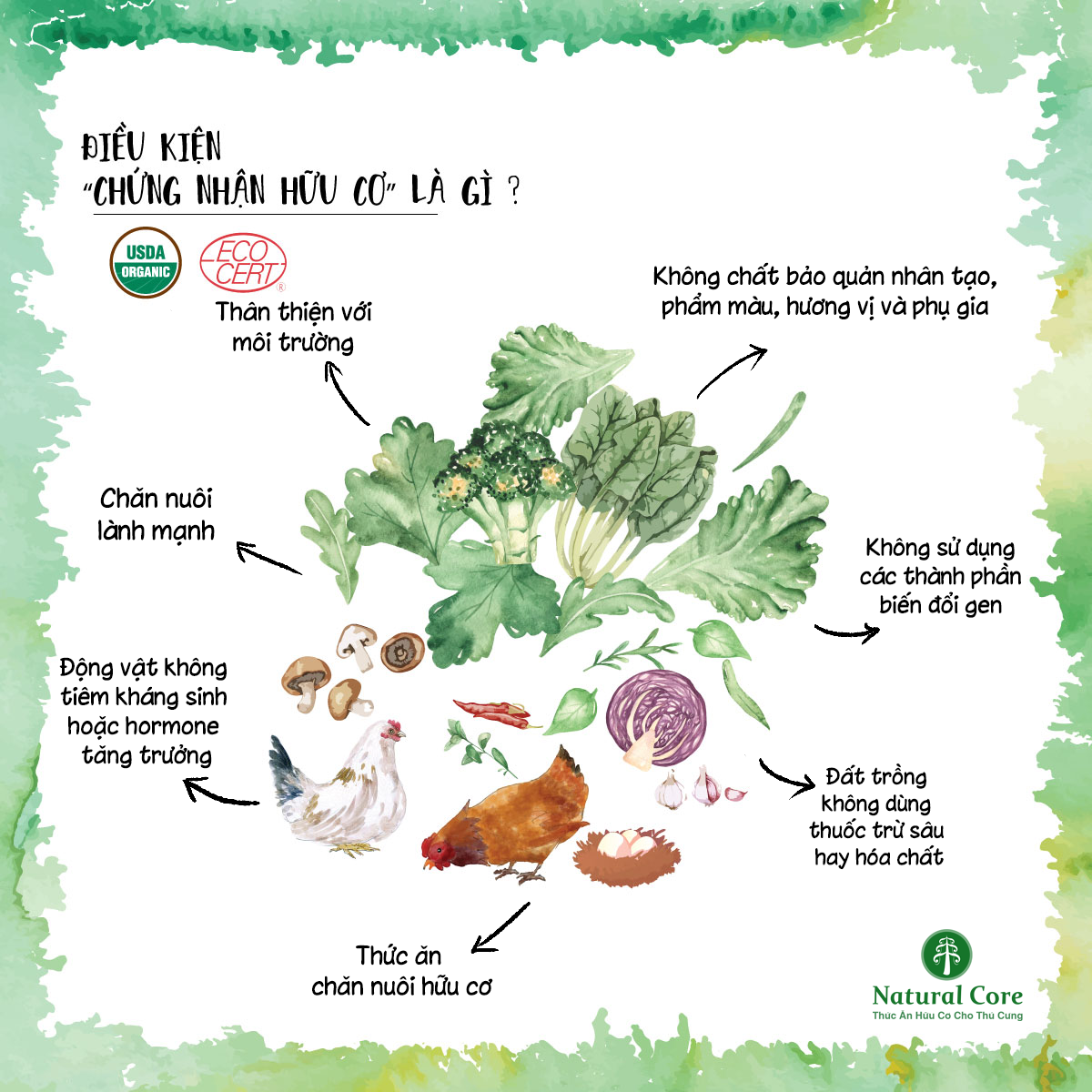 [10kg] natural core cat food