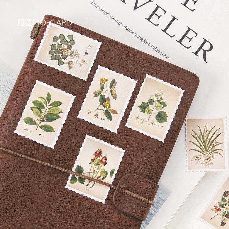 Hộp 45 Sticker Dán tem cây Thảo Dược vintage