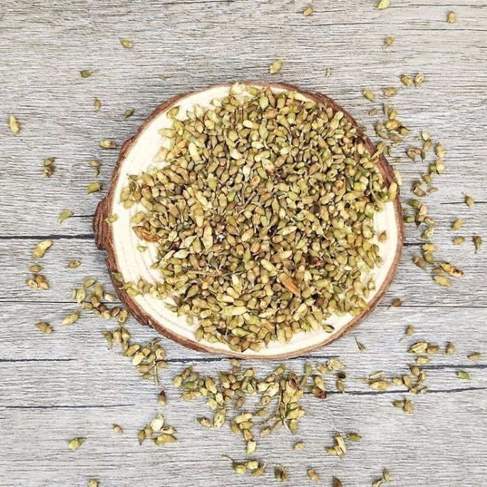 Trà hoa hòe sấy khô 20gram