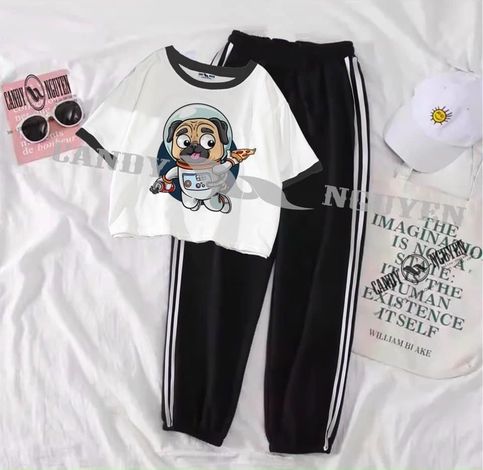 Sét bộ thun jogger phối áo in hình thú ngộ nghĩnh TTSLA0381