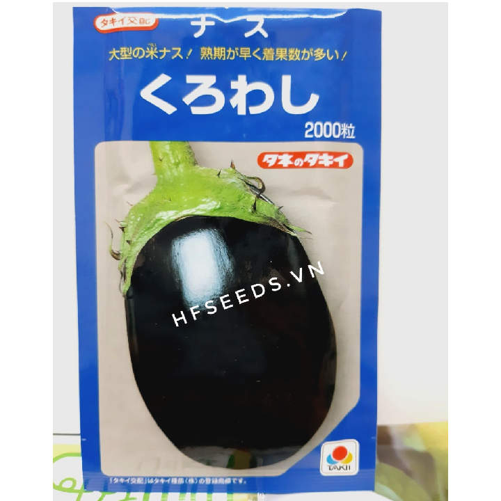 [Hạt giống Nhật Bản] Gói 10 hạt giống cà tím Nhật Bản Kuro