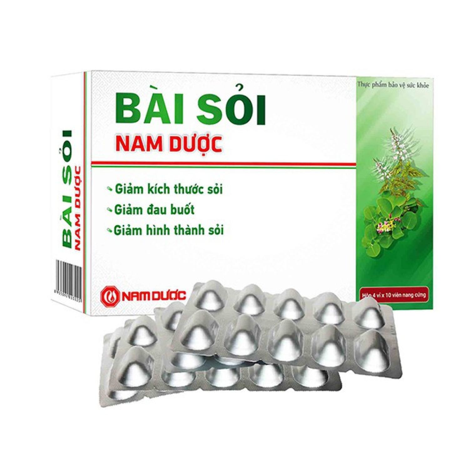 Bài sỏi Nam dượᴄ - Sỏi thận, sỏi mật