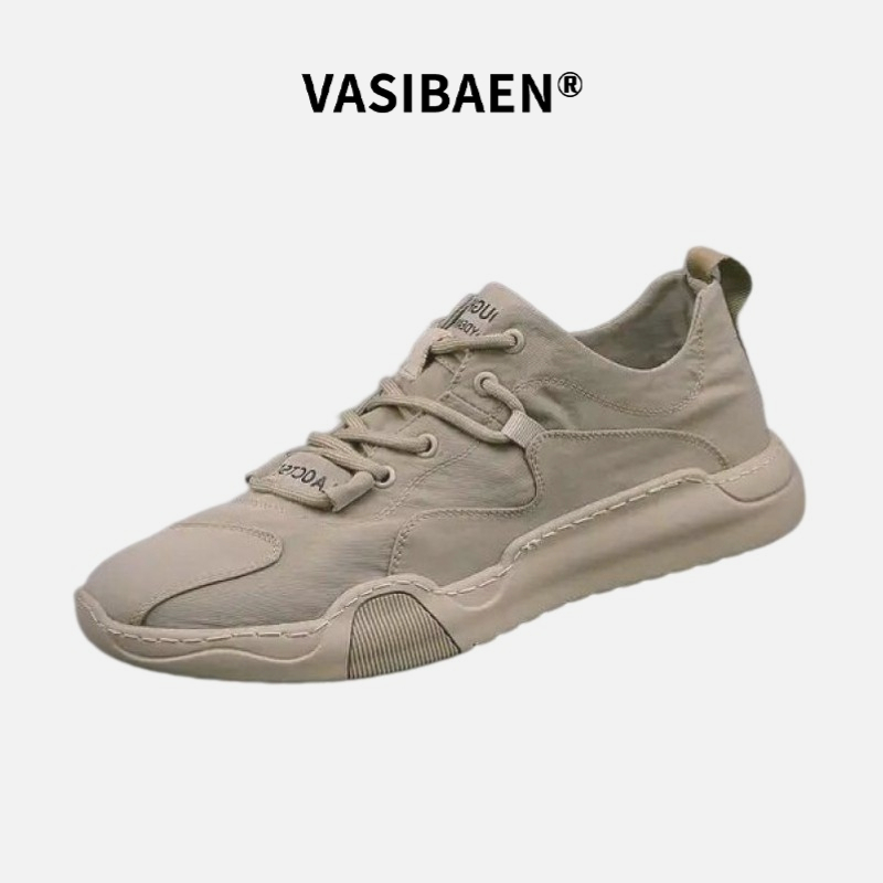 Vasibaen