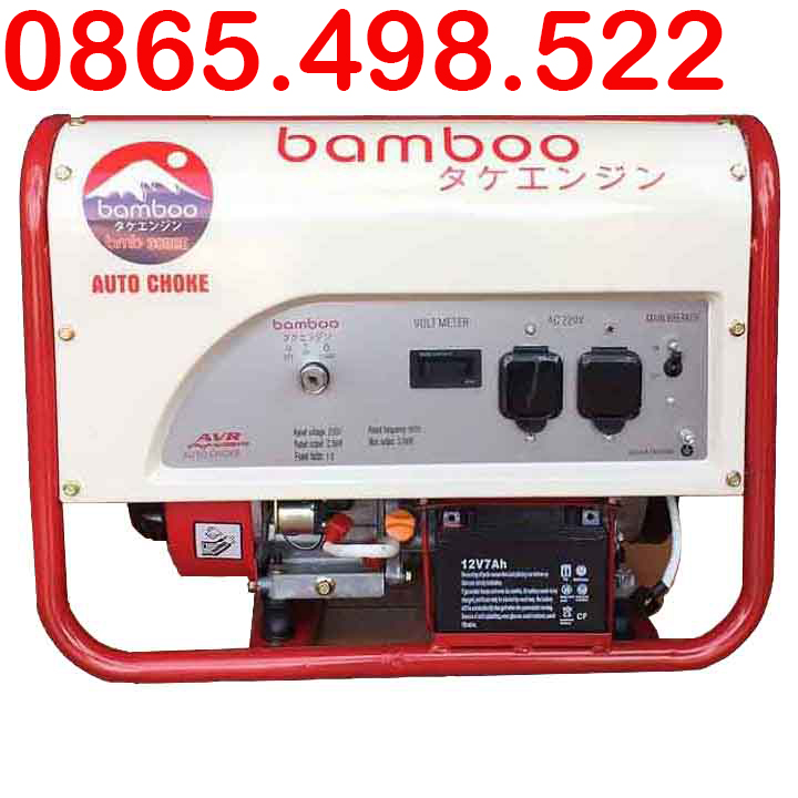 Máy Phát Điện Chạy Xăng 10Kw Bamboo 11800EX