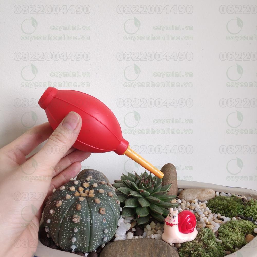 Bóng cao su xịt bụi