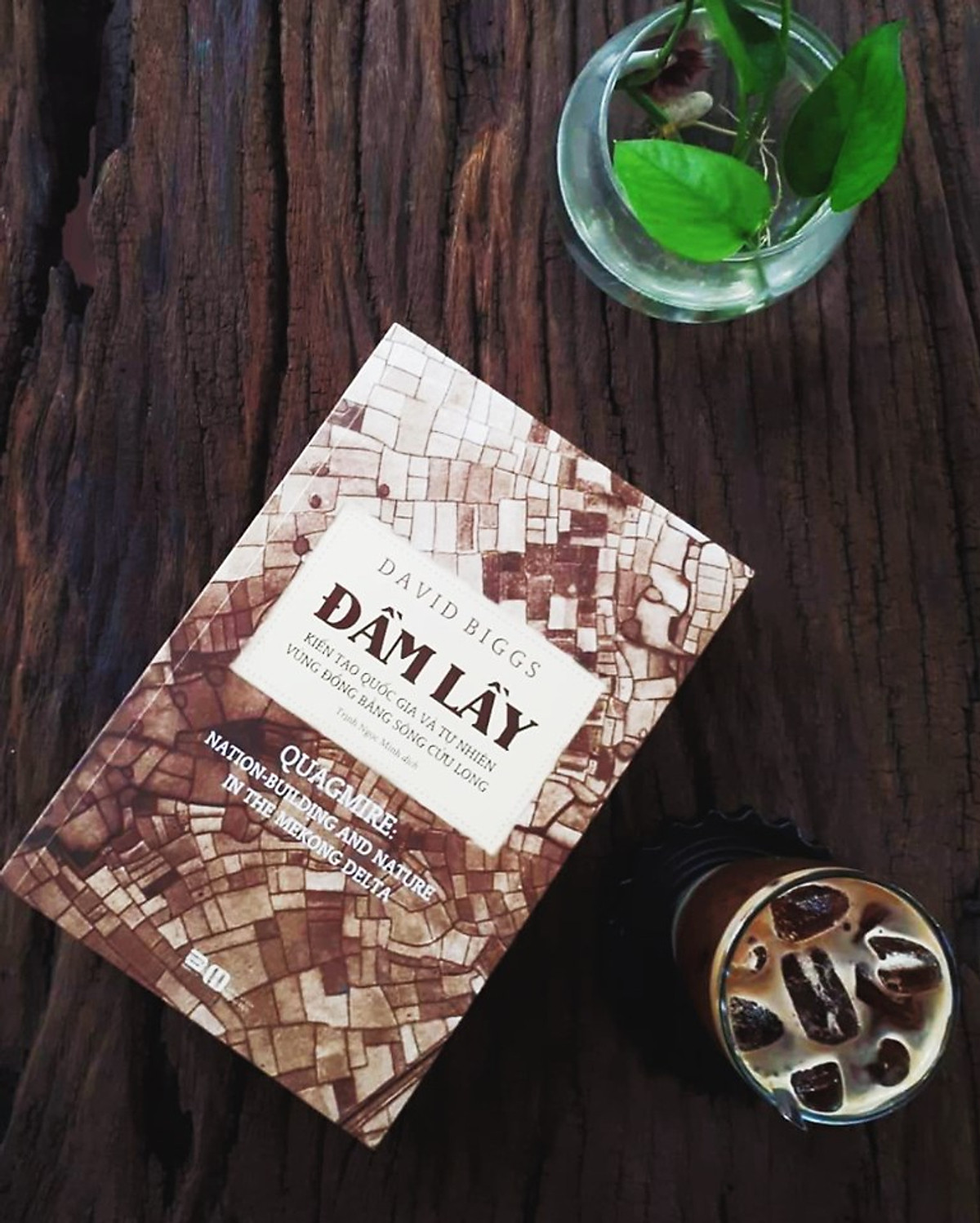 Sách - Đầm lầy - David Biggs